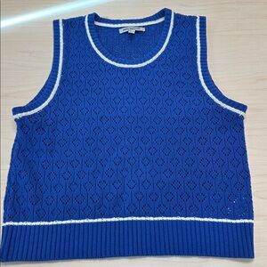 Urban outfitters sweater, vest, size, medium, blue, white, excellent condition.